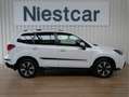 Subaru Forester 2.0 Premium Blanc - thumbnail 2