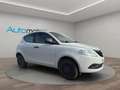Lancia Ypsilon Ypsilon 2015 0.9 t.air Silver ecochic metano 80cv Weiß - thumbnail 3