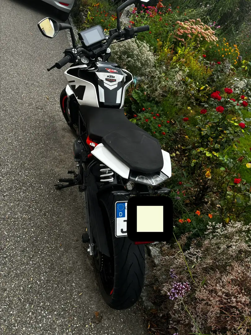 KTM 125 Duke Alb - 2