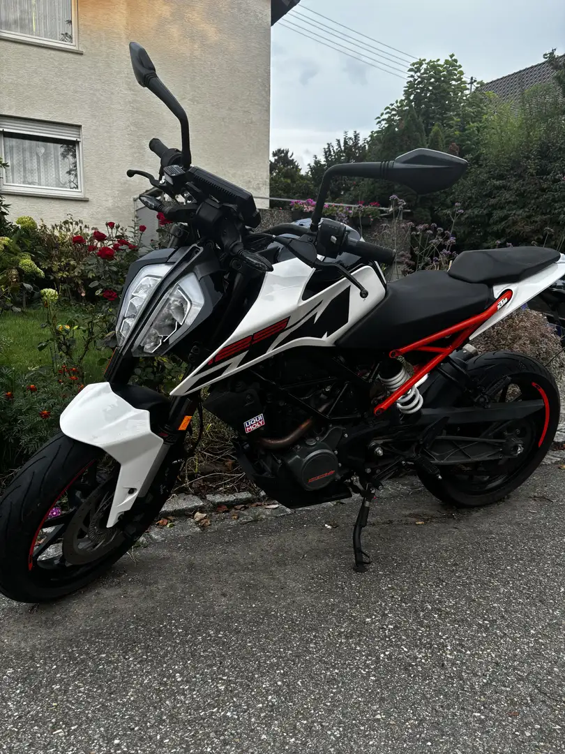 KTM 125 Duke Alb - 1