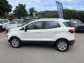 Ford EcoSport 1.0 EcoBoost 125ch Titanium Blanc - thumbnail 8