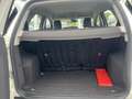 Ford EcoSport 1.0 EcoBoost 125ch Titanium Blanc - thumbnail 13