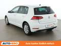 Volkswagen Golf 1.0 TSI Rabbit 40 Weiß - thumbnail 4