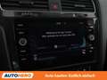 Volkswagen Golf 1.0 TSI Rabbit 40 Weiß - thumbnail 25