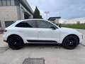 Porsche Macan Macan 2.0 245cv pdk Bianco - thumbnail 5