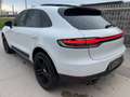 Porsche Macan Macan 2.0 245cv pdk Bianco - thumbnail 4