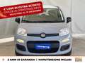 Fiat Panda 1.0 firefly hybrid city life s&s 70cv Grigio - thumbnail 3