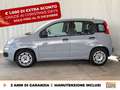 Fiat Panda 1.0 firefly hybrid city life s&s 70cv Grigio - thumbnail 4