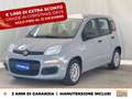 Fiat Panda 1.0 firefly hybrid city life s&s 70cv Grigio - thumbnail 1