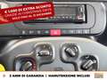 Fiat Panda 1.0 firefly hybrid city life s&s 70cv Grigio - thumbnail 21