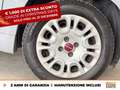 Fiat Panda 1.0 firefly hybrid city life s&s 70cv Grigio - thumbnail 15