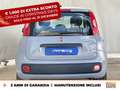 Fiat Panda 1.0 firefly hybrid city life s&s 70cv Grigio - thumbnail 5