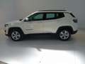 Jeep Compass 1.4 MultiAir 2WD Business Bianco - thumbnail 7
