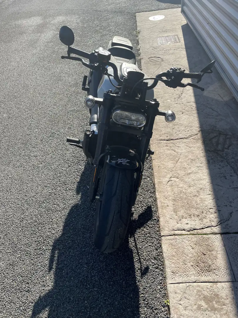 Harley-Davidson Sportster Blanc - 2