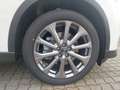 Mazda CX-60 3.3L e-SKYACTIV D 254ps Exclusive,2025,Gewerbe - thumbnail 6