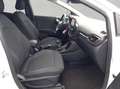 Ford Puma 1.0 EcoBoost Hybrid TITANIUM Weiß - thumbnail 17