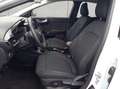 Ford Puma 1.0 EcoBoost Hybrid TITANIUM Weiß - thumbnail 9
