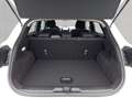 Ford Puma 1.0 EcoBoost Hybrid TITANIUM Weiß - thumbnail 4