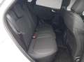 Ford Puma 1.0 EcoBoost Hybrid TITANIUM Weiß - thumbnail 19
