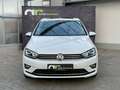 Volkswagen Golf Sportsvan 1.6 TDI Lounge Xen Pano AHK Sitzh Bianco - thumbnail 28