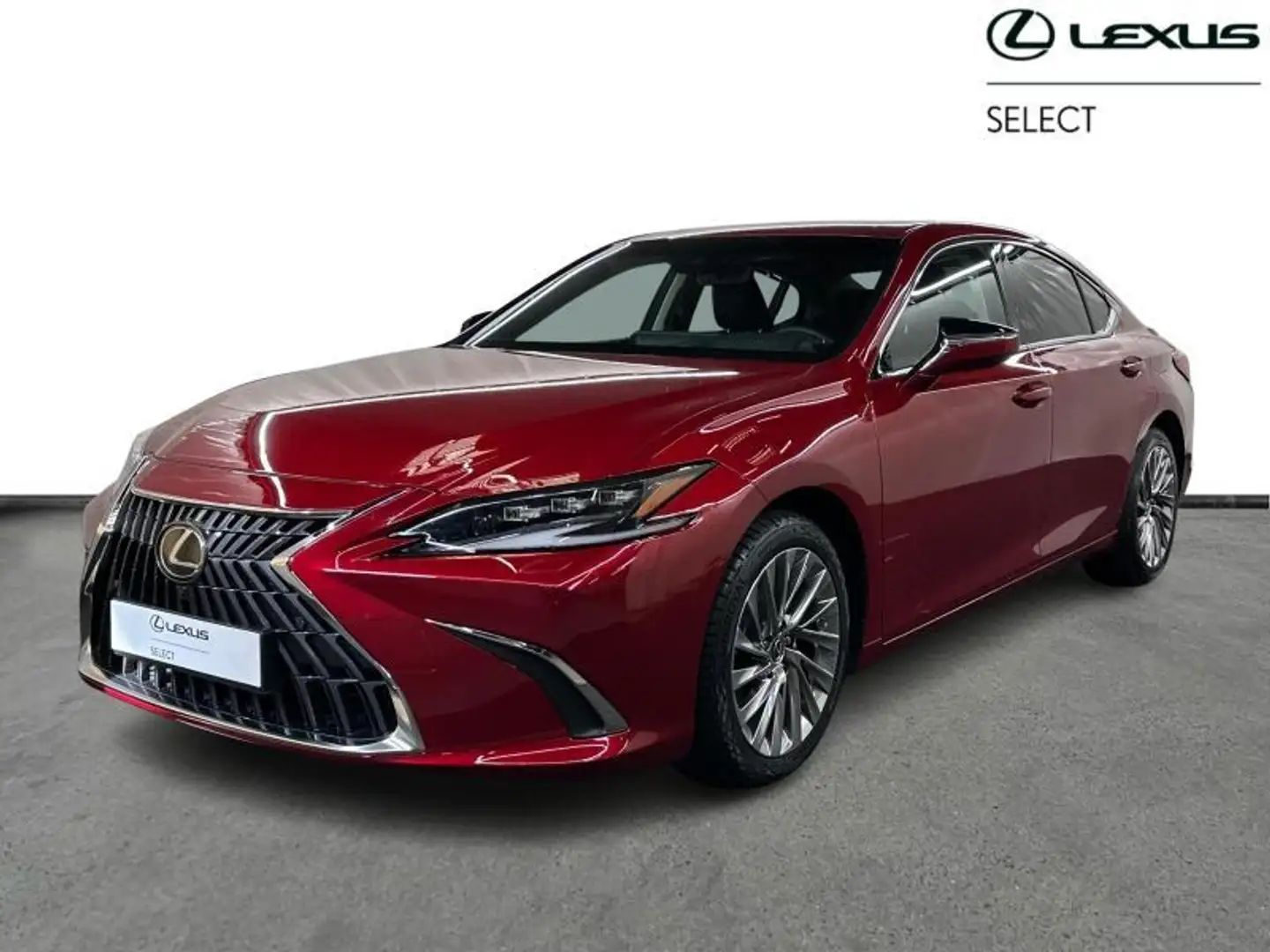 Lexus ES 300 Privilege Line Roof Mark Levinson Rouge - 1
