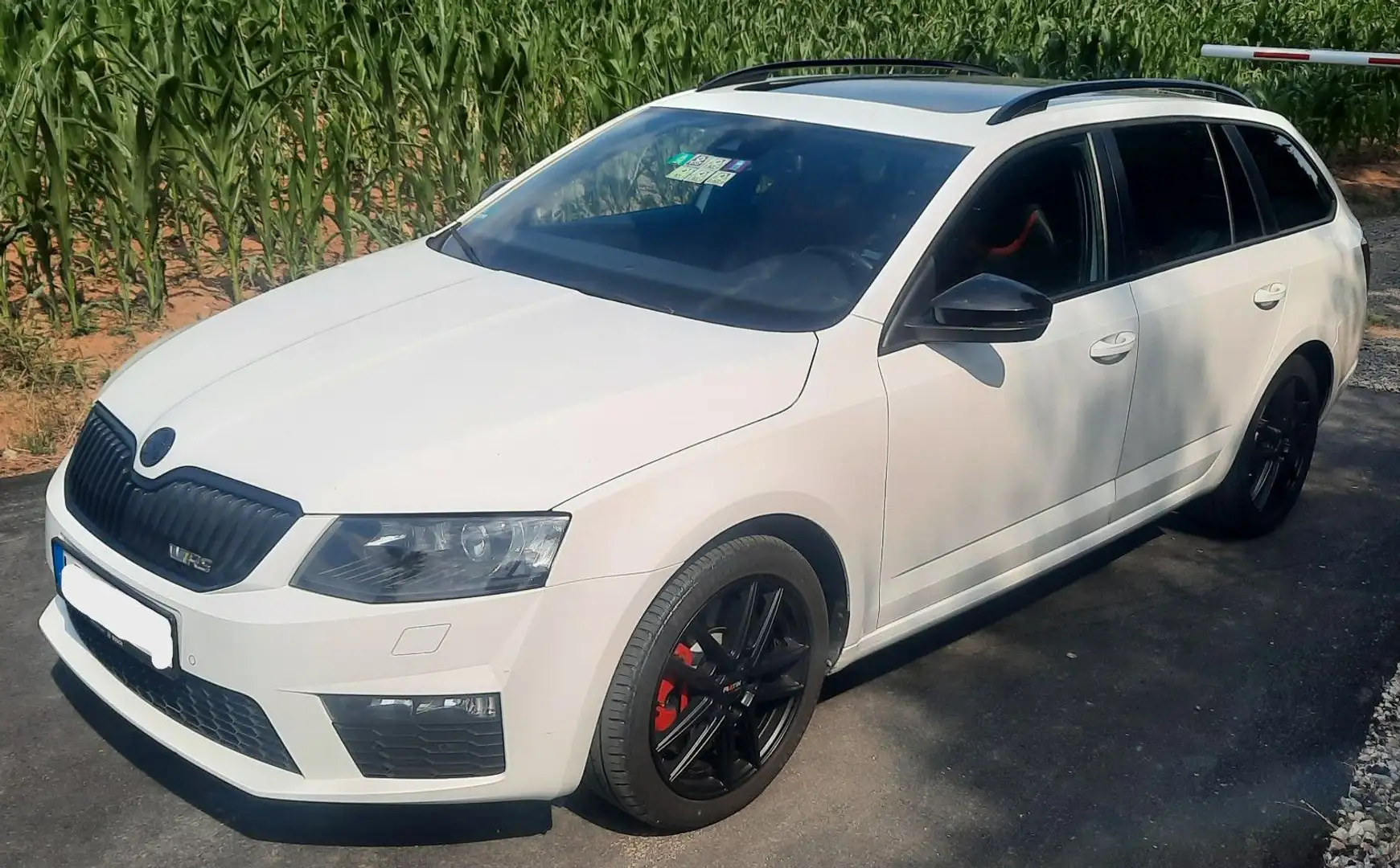 Skoda Octavia Combi RS Navi/Panoramadach/PDC/MFL Wit - 1