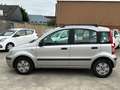 Fiat Panda Panda 1.2i*PRET A IMMATRICULER*1ER MAIN*CAR-PASS!! - thumbnail 3