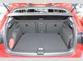 Volkswagen Golf VIII Active 1.0 eTSI DSG Navi Kamera ACC Weiß - thumbnail 15
