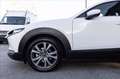 Mazda CX-30 2.0 m-hybrid Executive 2wd 186cv 6mt Bianco - thumbnail 7
