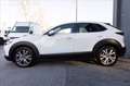 Mazda CX-30 2.0 m-hybrid Executive 2wd 186cv 6mt Bianco - thumbnail 3