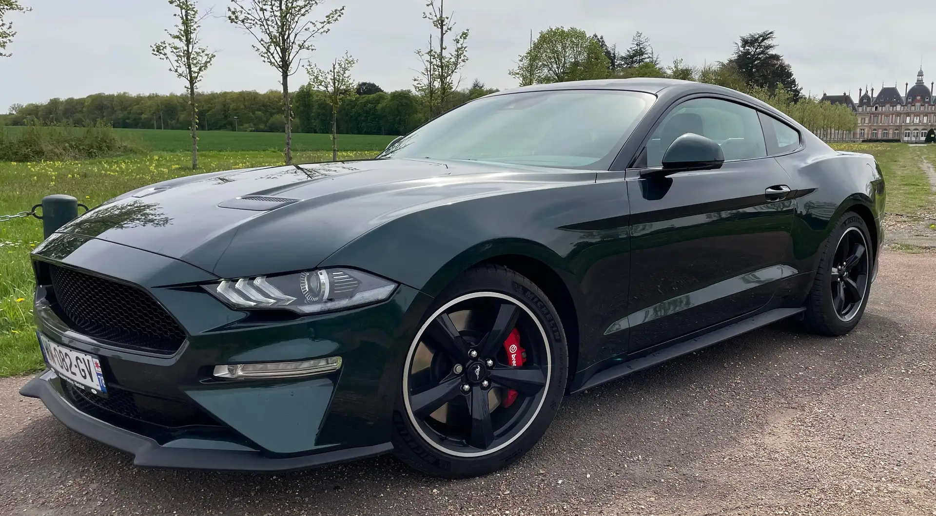 Ford Mustang Mustang Fastback V8 5.0 Bullitt Vert - 1