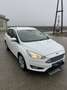 Ford Focus Traveller 1,5 TDCi Titanium - thumbnail 2