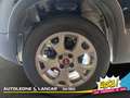 Fiat Panda 4x4 1.3 mjt Cross 80cv 5 Posti OK NEOPATENTATI Schwarz - thumbnail 14