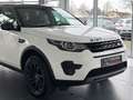 Land Rover Discovery Sport SE AWD/AUT/NAV/PAN/SHZ/AHK/ALUS Blanc - thumbnail 4