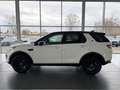 Land Rover Discovery Sport SE AWD/AUT/NAV/PAN/SHZ/AHK/ALUS Blanc - thumbnail 12