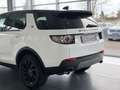 Land Rover Discovery Sport SE AWD/AUT/NAV/PAN/SHZ/AHK/ALUS Blanc - thumbnail 8