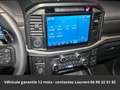 Ford Raptor SuperCrew 4x4 Tout compris hors homologation 4500e Zilver - thumbnail 20