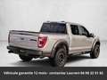 Ford Raptor SuperCrew 4x4 Tout compris hors homologation 4500e Zilver - thumbnail 15