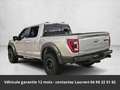 Ford Raptor SuperCrew 4x4 Tout compris hors homologation 4500e Zilver - thumbnail 18