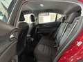 Alfa Romeo Stelvio SUPER BUSINESS 2.2  160CV AT8 FULL OPT. KM. CERT. Rosso - thumbnail 14