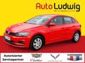 Volkswagen Polo 1,0 Rot - thumbnail 1