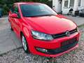 Volkswagen Polo V  BlueMotion/BMT*KLIMA* INJEKTOREN NEU* Rot - thumbnail 3