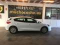 Ford Focus 1.5Ecoblue Trend 95 Blanc - thumbnail 5