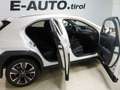 Lexus UX 250h Hybrid Executive *VOLL *ERSTBESITZ *GARANTIE *NEU Weiß - thumbnail 11