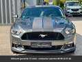 Ford Mustang Premium Tout compris hors homologation 4500e Gris - thumbnail 15