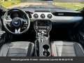 Ford Mustang Premium Tout compris hors homologation 4500e Gris - thumbnail 12