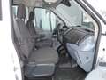 Ford Transit 350-EB Mixto L4H3 5-Sitze 1-Regal Stdhzg Bílá - thumbnail 14