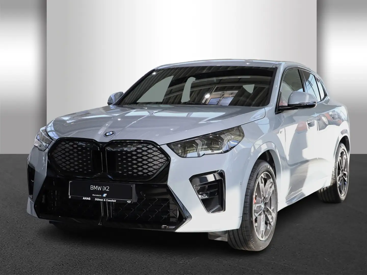 BMW iX2 ix2 eDrive20 M Sportpaket AHK Adaptives Fahrwerk Gris - 2