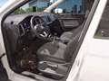 SEAT Ateca 2.0TDI CR S&S Style 116 Blanco - thumbnail 7