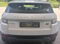 Land Rover Range Rover Evoque Weiß - thumbnail 5